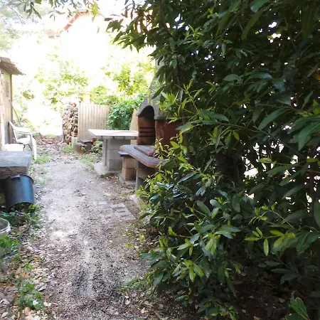 Apartment Villa Paula Near Archaeological Museum 27901 Pula